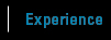Experience